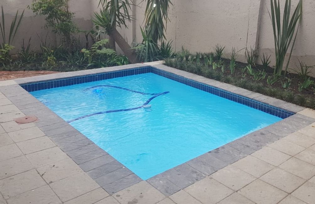 Family backyard pool - main view